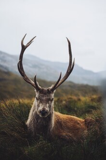 Patrick Monatsberger, Der Wächter der Highlands (Großbritannien, Europa)