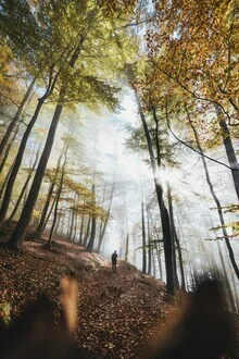 Fotokunst eines kleinen Mannes im Wald mit sanften Sonnenstrahlen