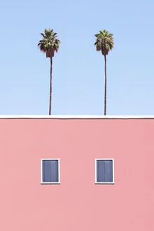 Photo art: Abstract composition with palm trees and blue sky in Morocco