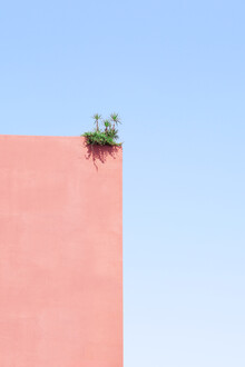 Rupert Höller, On Top (Morocco, Africa)