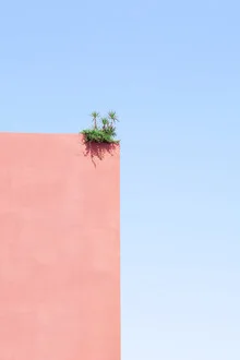 Photo art by Rupert Höller: minimalist house under blue sky with plants