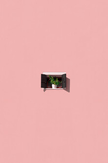 Rupert Höller, Photosynthesis (Italy, Europe)
