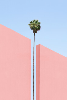 Rupert Höller, The Gap (Morocco, Africa)