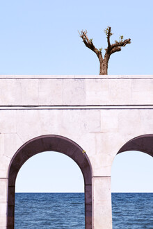 Rupert Höller, A Tree Above The Sea (Italy, Europe)