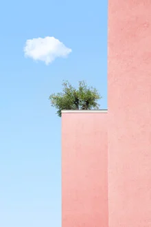 Photo art by Rupert Höller: minimal balcony scene with plants and clouds