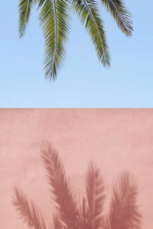 Photo art by Rupert Höller: Abstract depiction of a palm tree in shadow