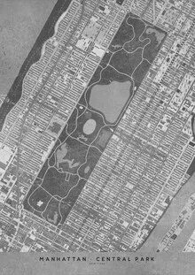 Wall art featuring a vintage map of Manhattan and Central Park in soft gray tones.