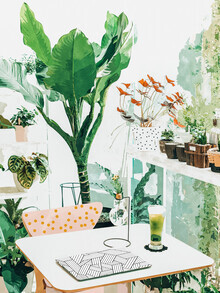 Uma Gokhale, Junglow, Urban Jungle Botanical Home decor, Tropical Plants Interior (Indien, Asien)