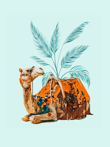 Uma Gokhale, Camel Ride, Modern Bohemian Eclectic Animals, India Culture Travel (Indien, Asien)