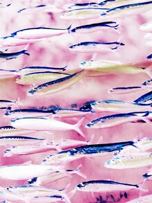 Illustration by Uma Gokhale: Fantasy underwater scene featuring colorful fish.