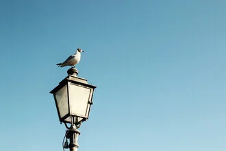 Photo art by Manuela Deigert: view of the coast with a lantern and seagull in a maritime style.