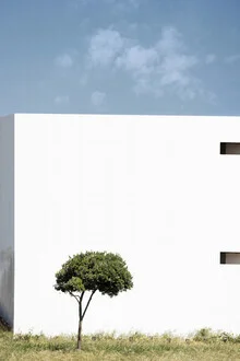 Photo art by Mareike Böhmer: minimalist landscape with clouds and a tree