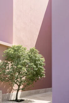 Photo art by Mareike Böhmer: abstract landscape with a tree in soft pastel colors