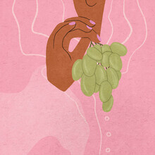 Lemon Fee, Grapes On Pink - France, Europe)