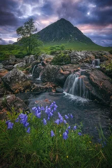 Waterfall in Glencoe: gentle flow between green mountains and blooming flowers