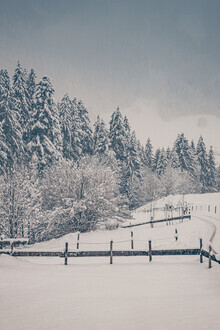 Eva Stadler, Up up the snowy hill (Austria, Europe)