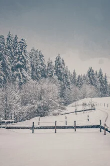 Winterwald in Tirol - fotokunst von Eva Stadler