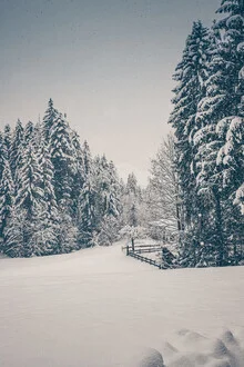 Photo art by Eva Stadler: winter landscape with snow-covered trees and gentle hills