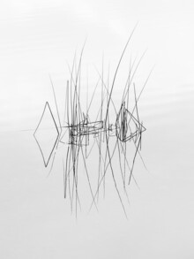 Holger Nimtz, melody of stillness