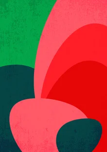 Abstract shapes in vibrant colors creating a harmonious composition.
