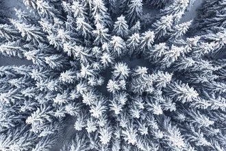 Snowy treetops from above, conveying winter tranquility and a connection to nature.