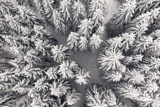 Aerial view of a winter forest with snow-covered trees in the Harz mountains