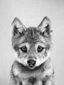 Wall art by Gal Pittel: cute black-and-white puppy peeking curiously