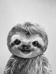 Photo art of a baby sloth in black and white, gentle mood with a minimalist style.