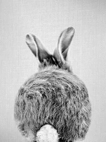 Wall art: Black and white portrait of a cute bunny tail