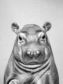Photo art by Gal Pittel: cute hippo portrait in black and white