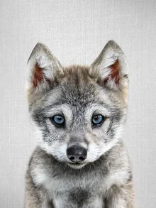 Photo art by Gal Pittel: cute wolf in the woods with soft colors
