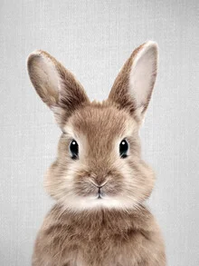 Happy rabbit in soft colors, surrounded by a calm, natural background.