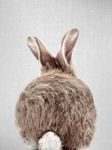 Lovely rabbit with a fluffy tail on a grassy field