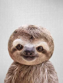 Photo art by Gal Pittel: cute sloth relaxing in nature