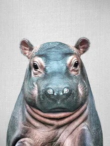 Photo art by Gal Pittel: playful baby hippo in water with a cheerful expression