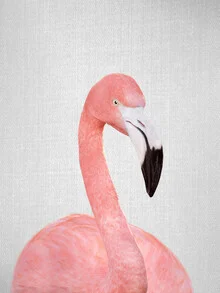Photo of a flamingo in soft pink hues, standing calmly by the water.