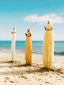 Beautiful photo art by Gal Pittel: surfboards on Malibu beach