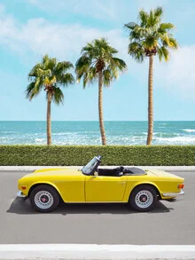 Photo art by Gal Pittel: a vintage car by the beach under palm trees in summer
