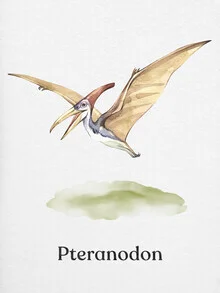 Illustration eines Pteranodon im Wasserfarbstil, freundlich und verspielt.