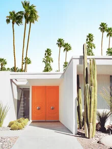 Photo art by Gal Pittel: palms in Palm Springs, capturing a summery vibe