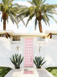 Palm Springs house featuring palms and modern design under sunlight