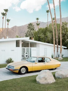 Photo art by Gal Pittel: Mid-century architecture in Palm Springs with palm trees