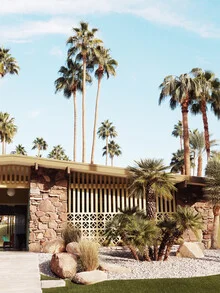 Illustration by Gal Pittel: summery palm landscape in Palm Springs