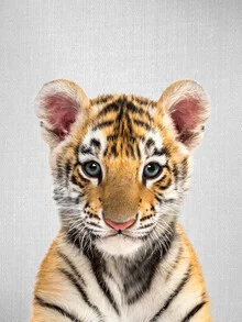 Photo art of a cute baby tiger curiously looking at the camera.