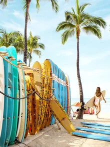 Photo art by Gal Pittel: surfboard against a sunny coastal landscape