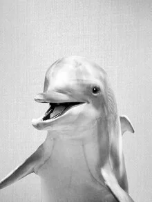 Photo art by Gal Pittel: playful dolphin in water, black and white depiction