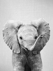 Photo art by Gal Pittel: black and white portrait of a cute baby elephant