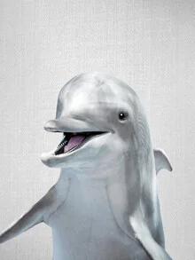Photo art of a dolphin in calm water, conveying a sense of peace and freedom.