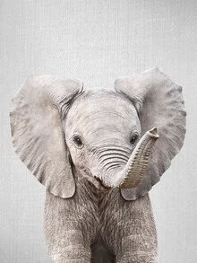 Photo art by Gal Pittel: cute baby elephant with gentle eyes