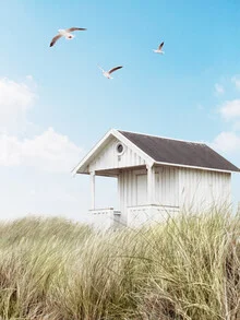 Photo art by Gal Pittel: beach hut with birds and clouds by the sea